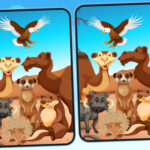 Desert Difference Hunt