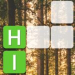 Word Stack Puzzle